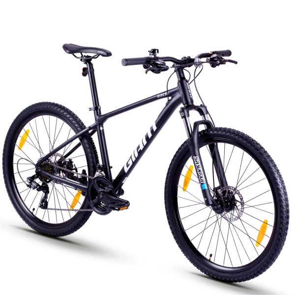 Giant Rincon 2 (2022)