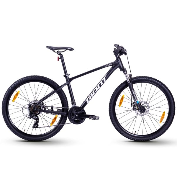 Giant Rincon 2 (2022)