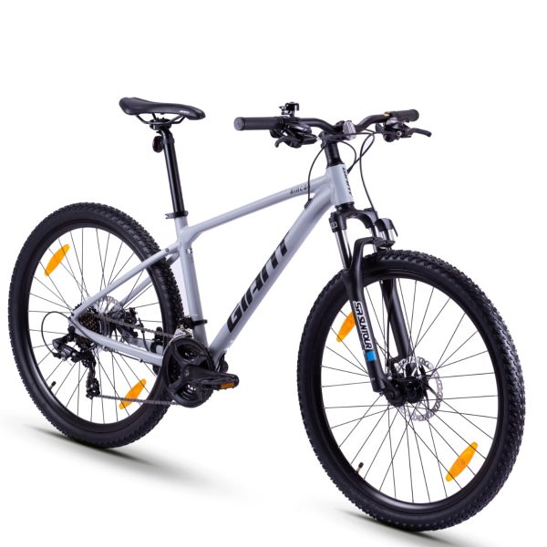 Giant Rincon 2 (2022)