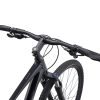 Giant Roam Disc 2 (2022) Black