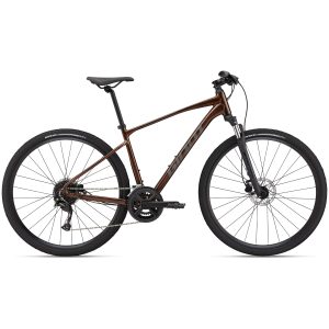 Giant Roam Disc 2 (2022) Hematite