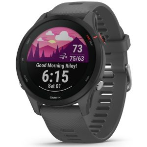 Garmin Forerunner 255 (Slate Gray)