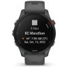 Garmin Forerunner 255 (Slate Gray)