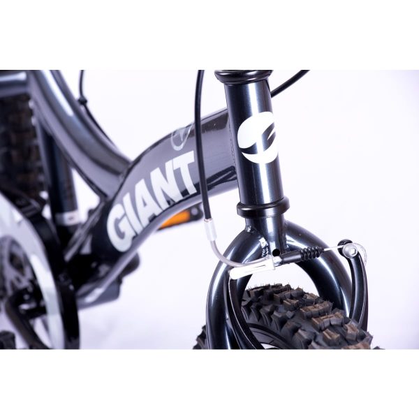 Giant YJ250 (2022) Metallic Black