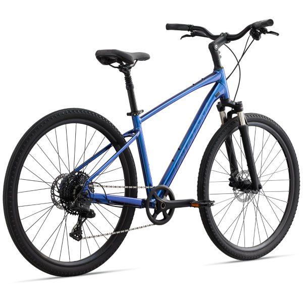Giant Cypress 1 (2022) Chameleon Neptune
