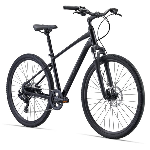 Giant Cypress 2 (2022) Black
