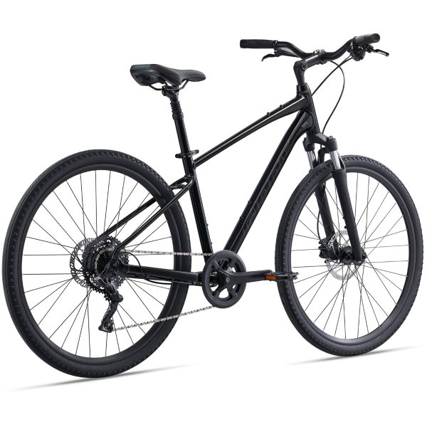 Giant Cypress 2 (2022) Black