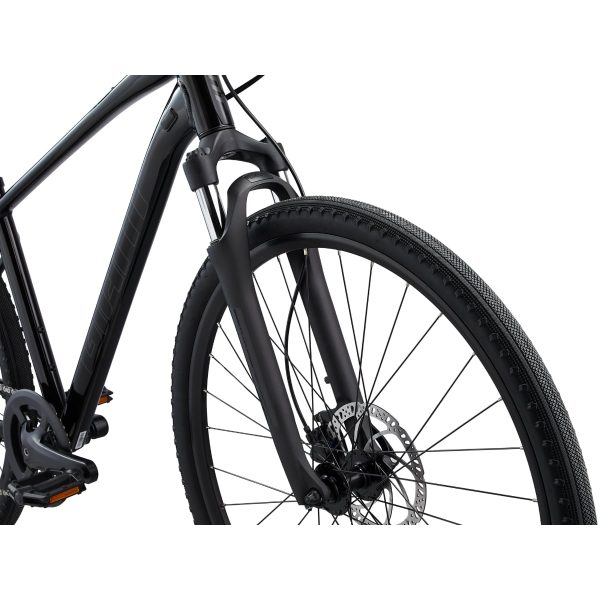 Giant Cypress 2 (2022) Black