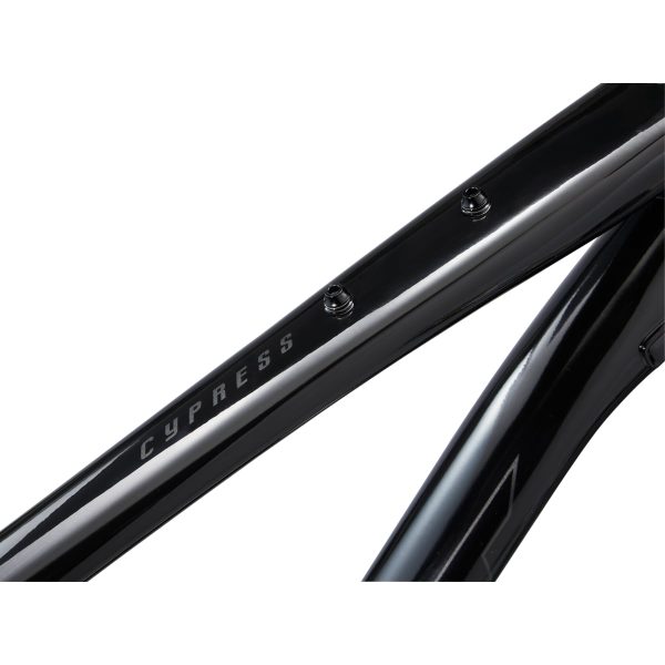 Giant Cypress 2 (2022) Black