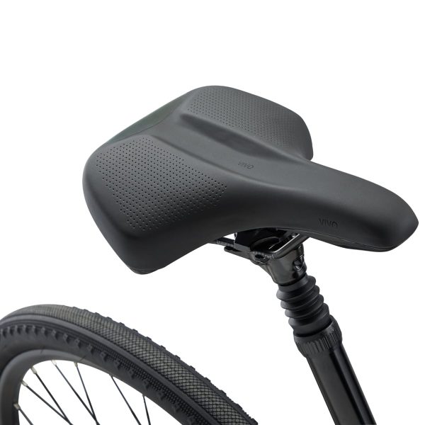 Giant Cypress 2 (2022) Black