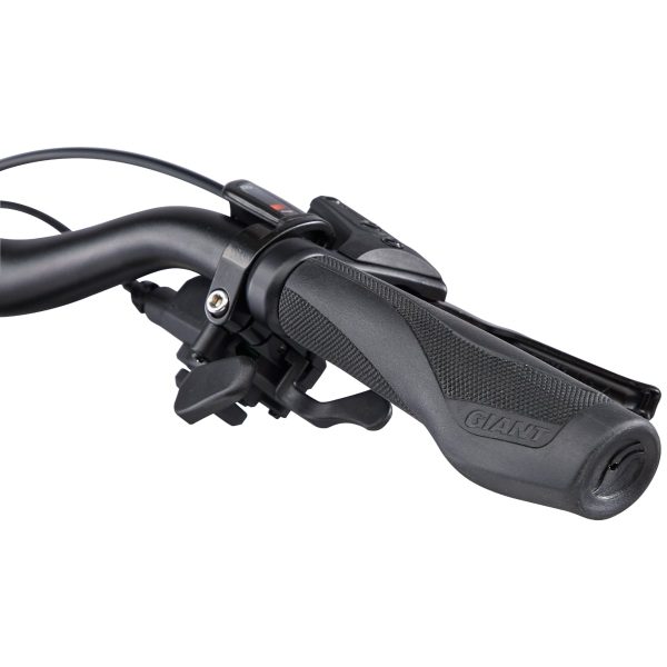 Giant Cypress 2 (2022) Black