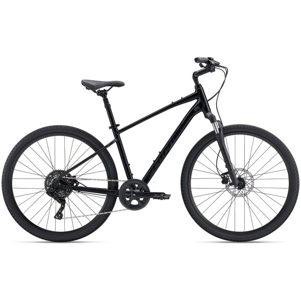 Giant Cypress 2 (2022) Black