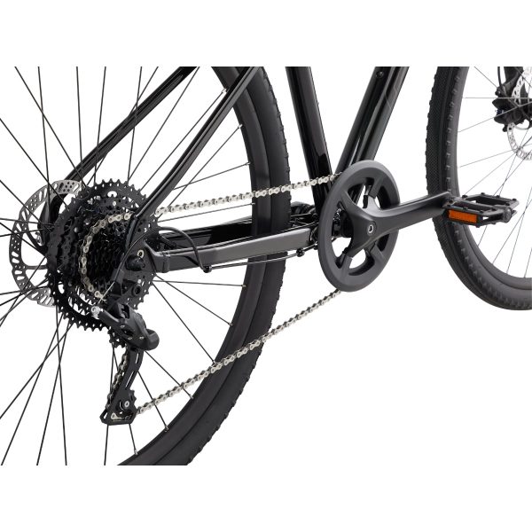 Giant Cypress 2 (2022) Black